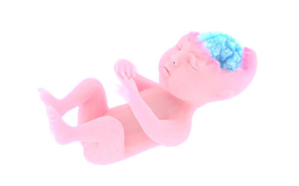 9 Nutrients that improve the IQ of your fetus