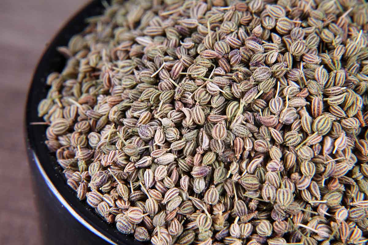 Ajwain: The Tiny Superfood You Need for Weight Loss