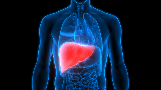 Top Foods to Reverse Fatty Liver and Improve Liver Health