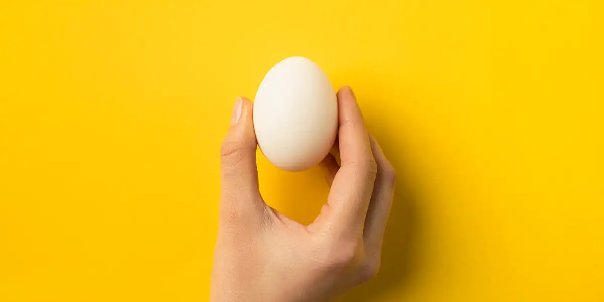 Eggs: Healthy Protein or Hen’s Menstrual Waste? What Does Science Say?