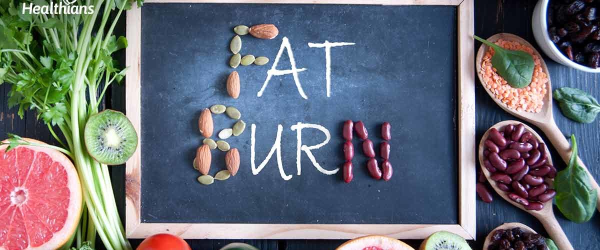 Top Fat-Burning Foods & Ayurvedic Herbs That Actually Work